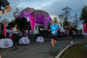 BIB: 
                            <button type="button" onclick="openModal(26529545)" class="btn btn-primary btn-sm float-right btn-popup" data-toggle="modal" data-target=".modal-high-quality">
                        <i class="fas fa-shopping-cart"></i> Add to Cart
                    </button>
                                            <button type="button" onclick="isThisMe(26529545, true)" class="btn btn-success btn-sm float-right btn-popup btn-isme hidden" data-toggle="tooltip" data-placement="bottom" title="นี่คือรูปของคุณใช่ไหม คลิกที่นี่เพื่อเอาเข้าอัลบั้ม">
                        <i class="fas fa-plus"></i> Add to album
                    </button>
                    <button type="button" onclick="isThisMe(26529545, false)" class="btn btn-warning btn-sm float-right btn-popup btn-isnotme hidden">
                        <i class="fas fa-ban"></i> Remove from album
                    </button>